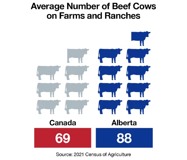 Canadian Beef Grading Chart