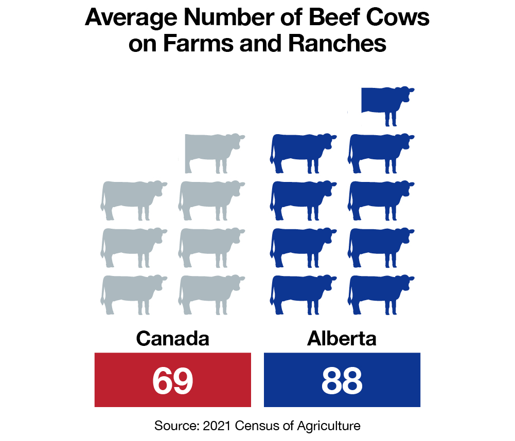 Farms and Ranches with Beef Cattle
